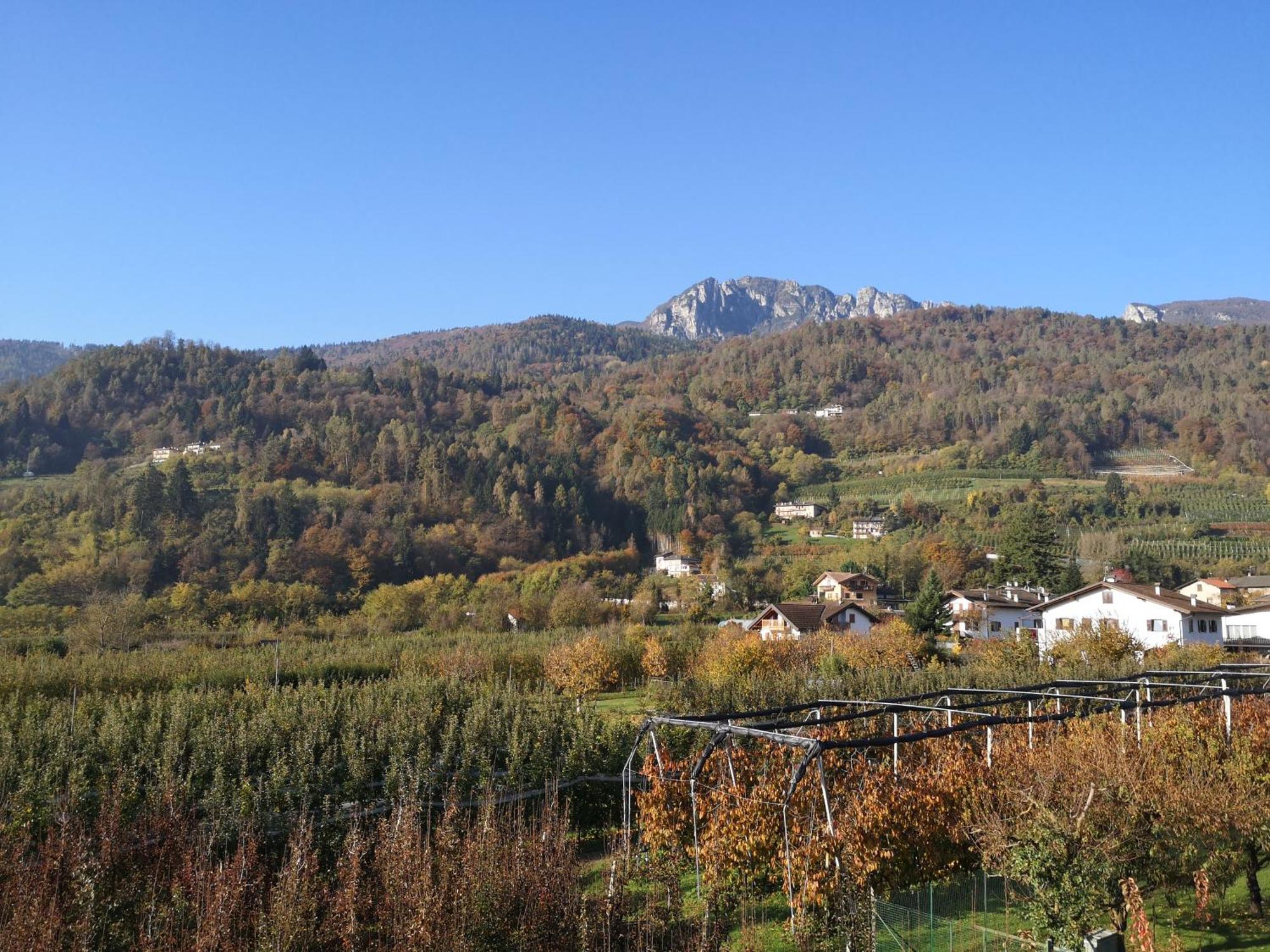 Appartamenti Casa Viviana Pergine Valsugana Extérieur photo